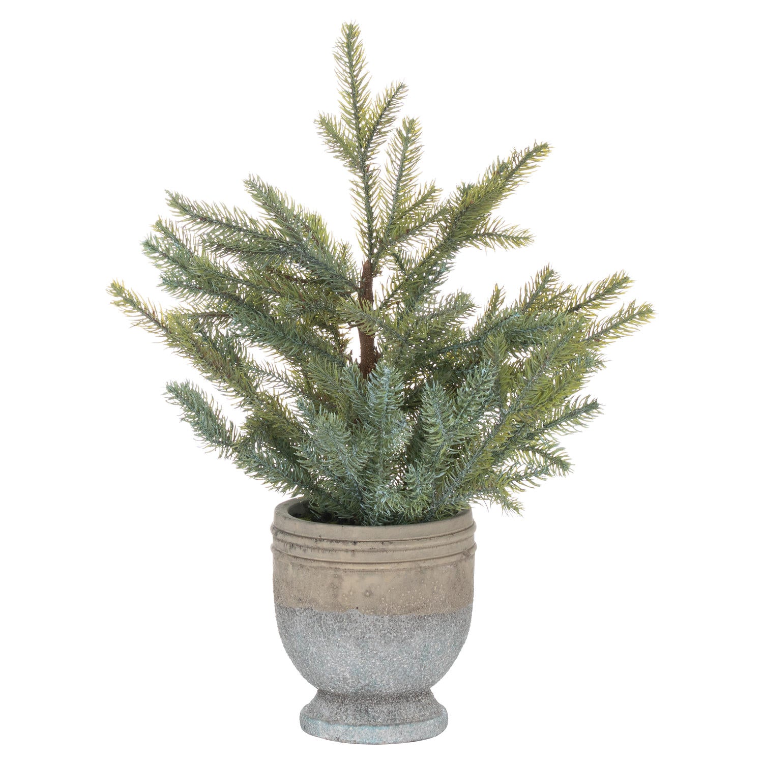 Garda Pine Tree In Stone Pot